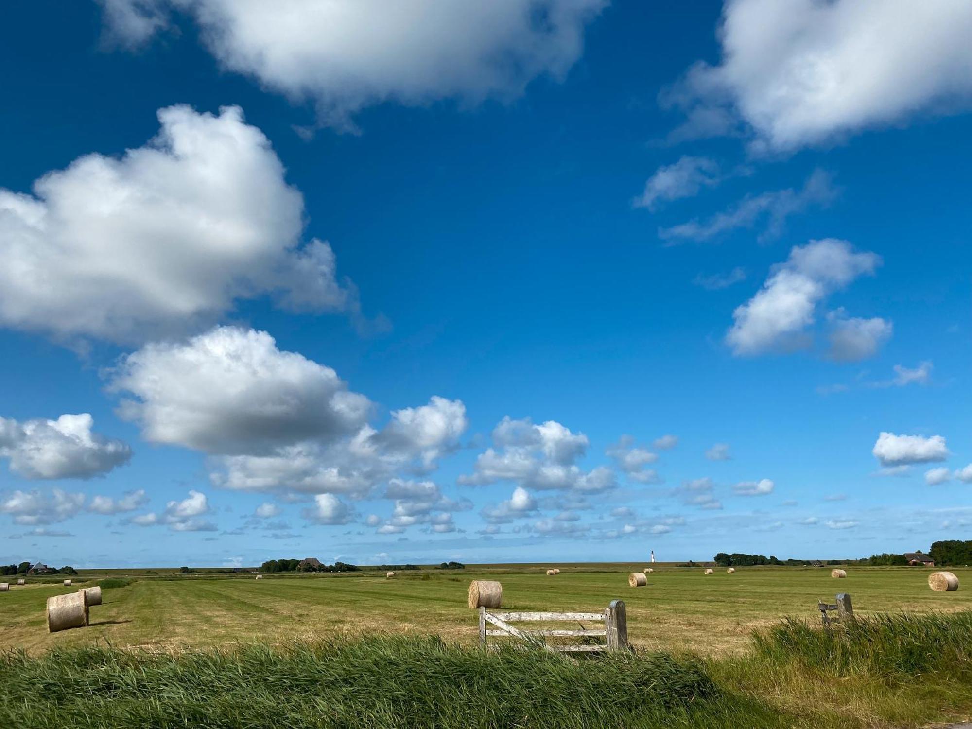 Deichgraf Apartment Westerhever Exterior photo